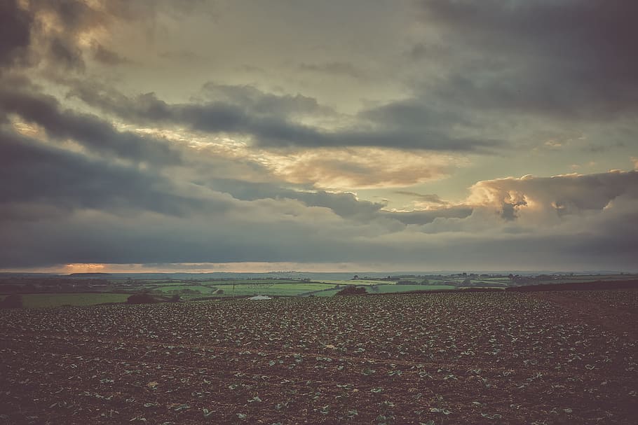 Scenic View of Farm Field Under Cloudy Sky, agriculture, cloudiness HD wallpaper