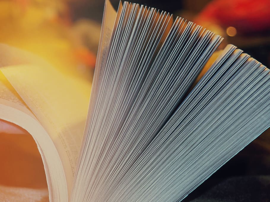 Selective Focus Photography White Book, novel, pages, close-up HD wallpaper