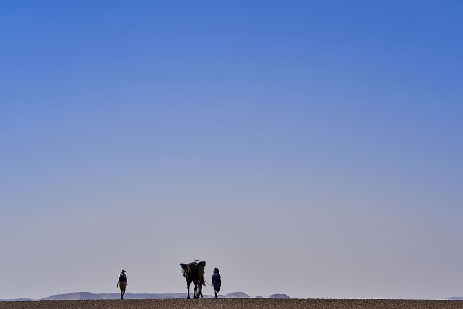 silhouette of two persons walking with four legged animal during daytime, HD wallpaper