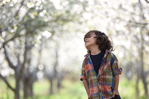 Boy Looking Up Posing for Photo Shoot, blurred background, child HD wallpaper