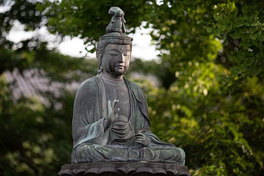 Buddha Statue Near Trees, ancient, Asian, blurred background