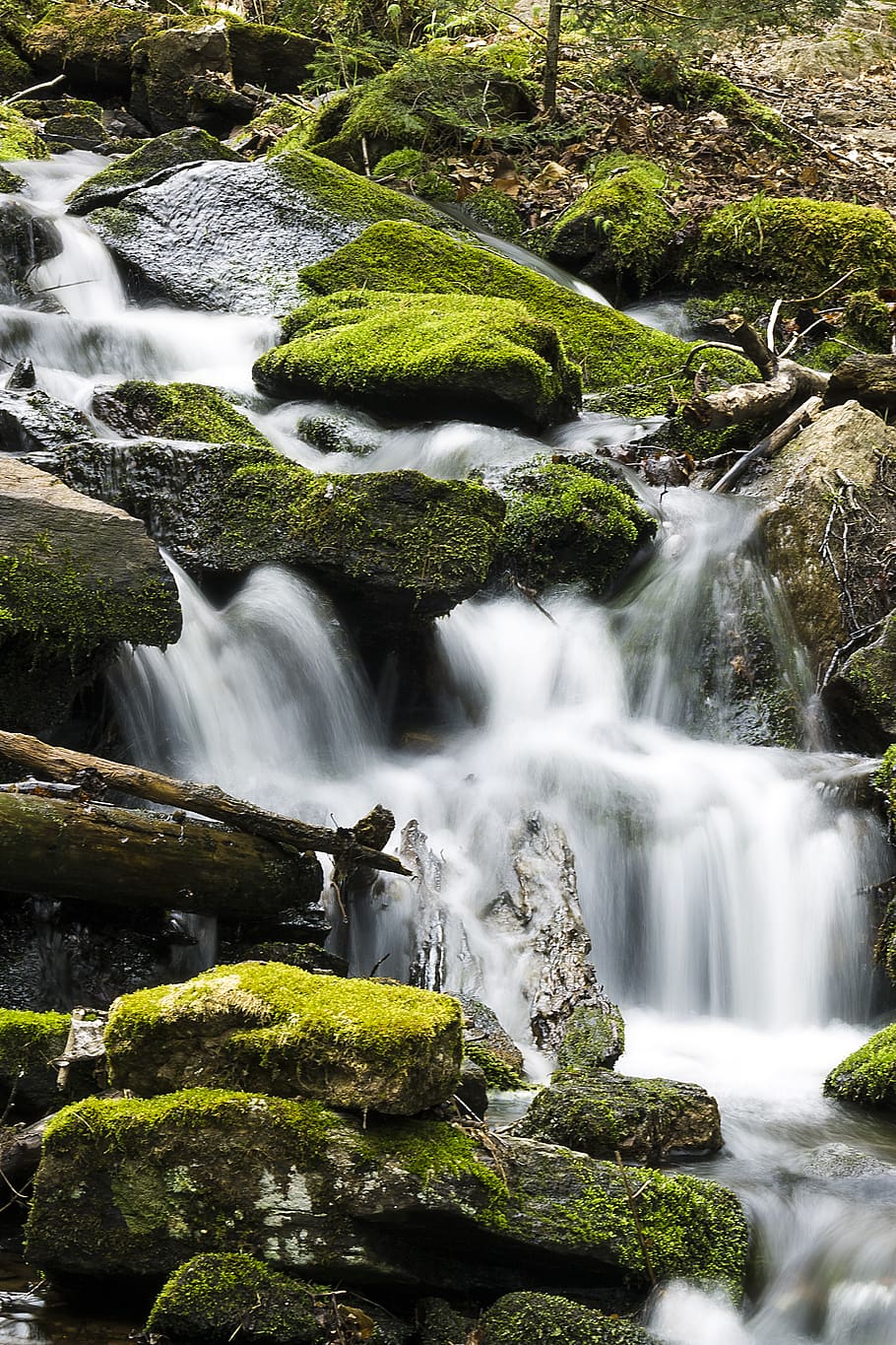 water, river, outdoors, nature, waterfall, moss, creek, algae HD wallpaper