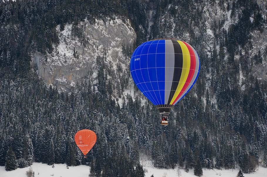 Two Assorted-color Hot Air Balloons over Green Trees, adventure HD wallpaper