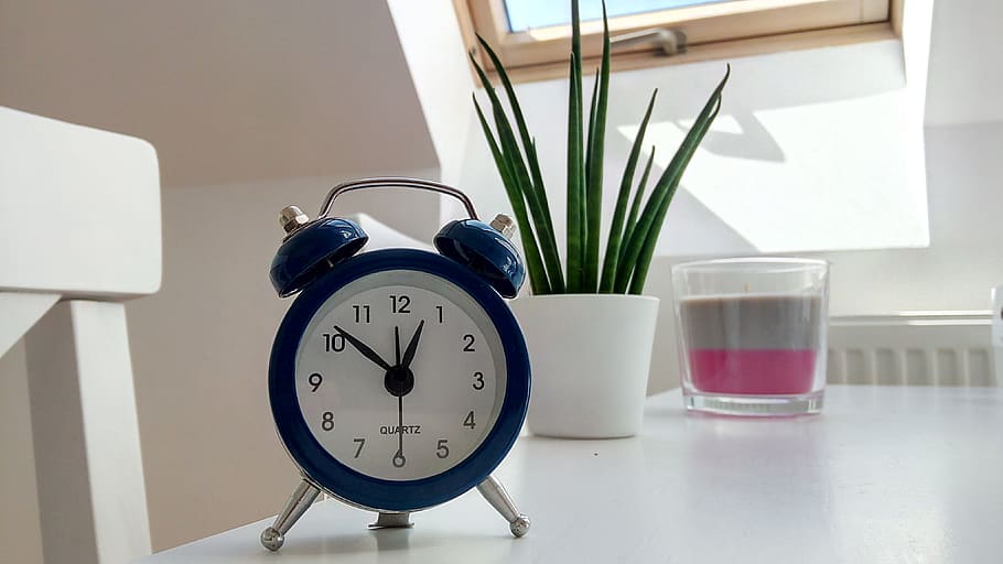 Round Blue Alarm Clock With Bell on White Table Near Snake Plant HD wallpaper