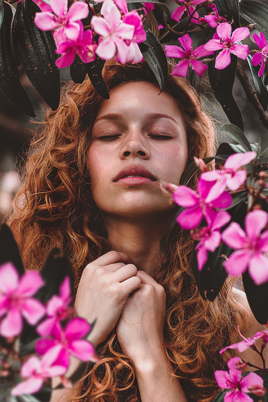 HD wallpaper: Woman Surrounded by Pink-Petaled Flowers, beautiful ...