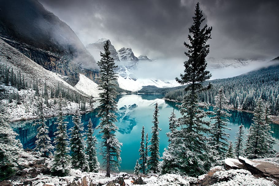 pine tree near body of water and mountain, snow, rock, forest HD wallpaper