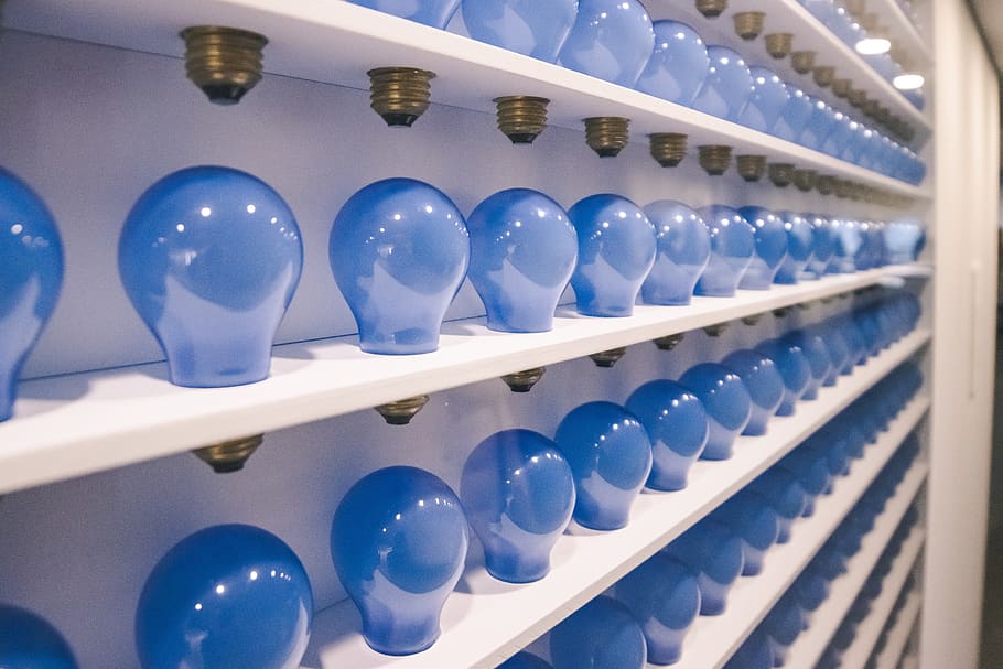 blue light bulbs on rack, shelf, food, egg, denmark, louisiana museum of modern art HD wallpaper
