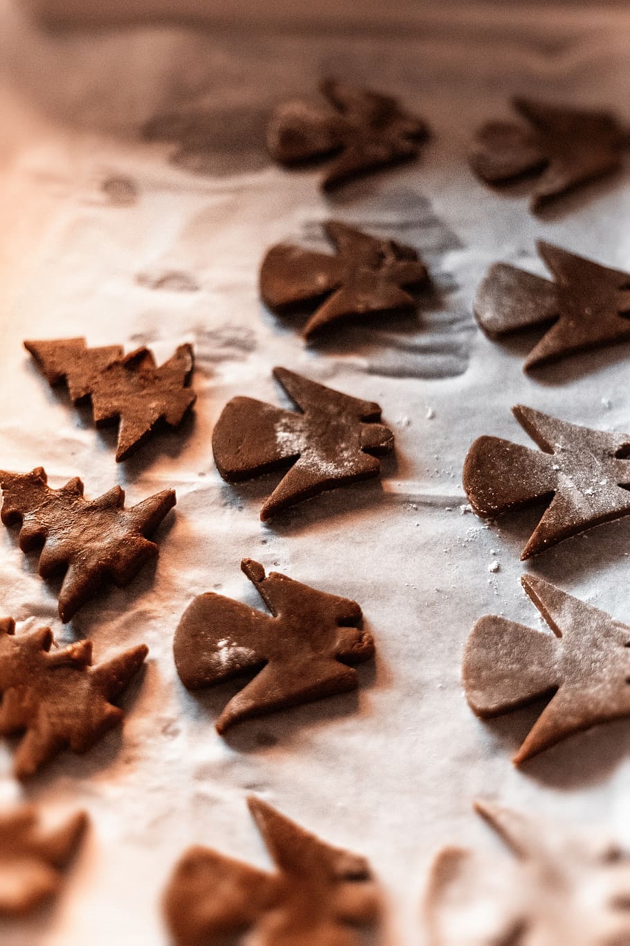 Pine Tree Dough on Tray, baking, candy, chocolate, confection HD wallpaper