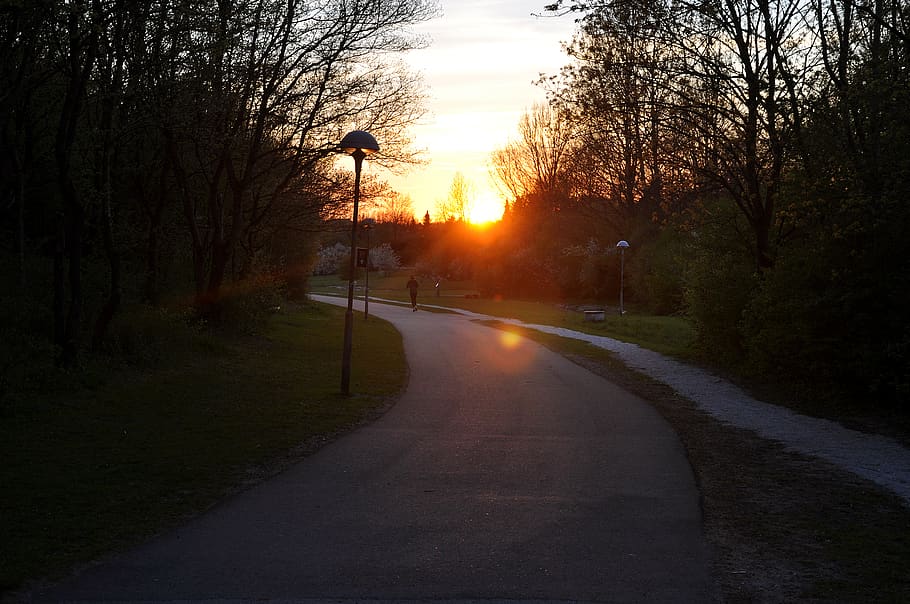 sweden, lund, sunset, summer, jogger, road, trees, run, jogging HD wallpaper