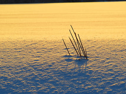 schnee, winter, kälte, abend, dämmerung, abenddämmerung HD wallpaper