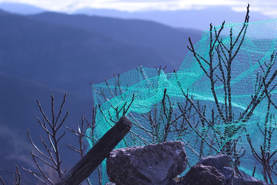 green net on twigs, nature, outdoors, plant, mountain range, vegetation HD wallpaper