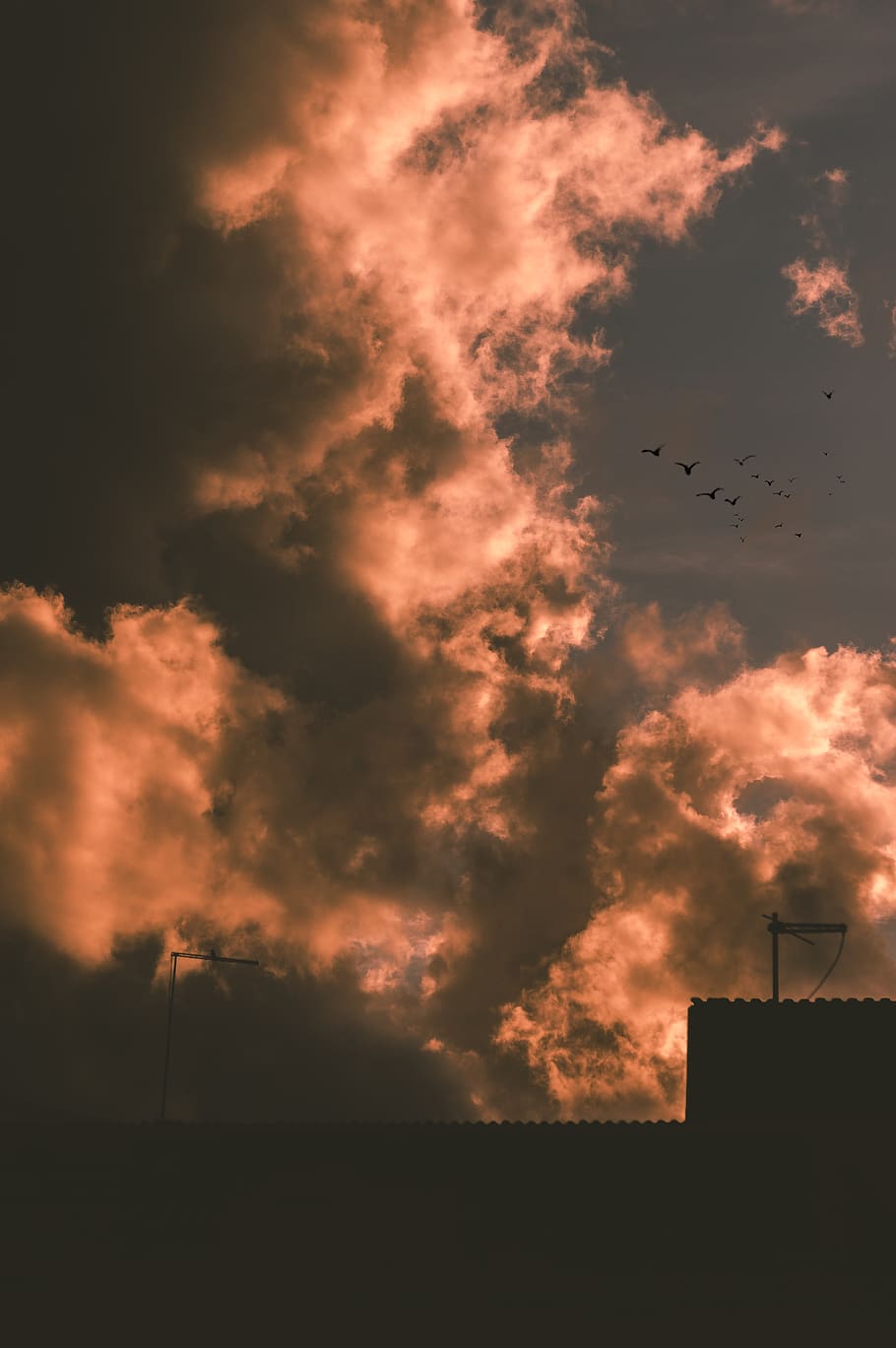 #sun, #clouds, #vertical, #wallpaper, #birds, sky, cloud - sky, HD wallpaper