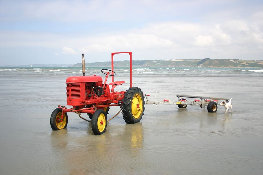 tractor, sea, dog, beach, sand, water, sky, mode of transportation HD wallpaper