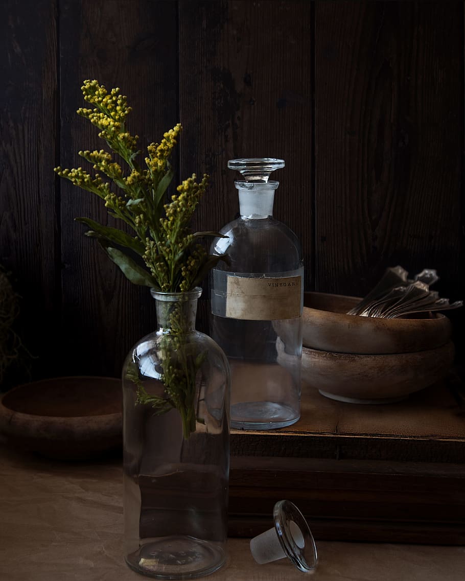 Interior of an apothecary and oddities shop on Craiyon