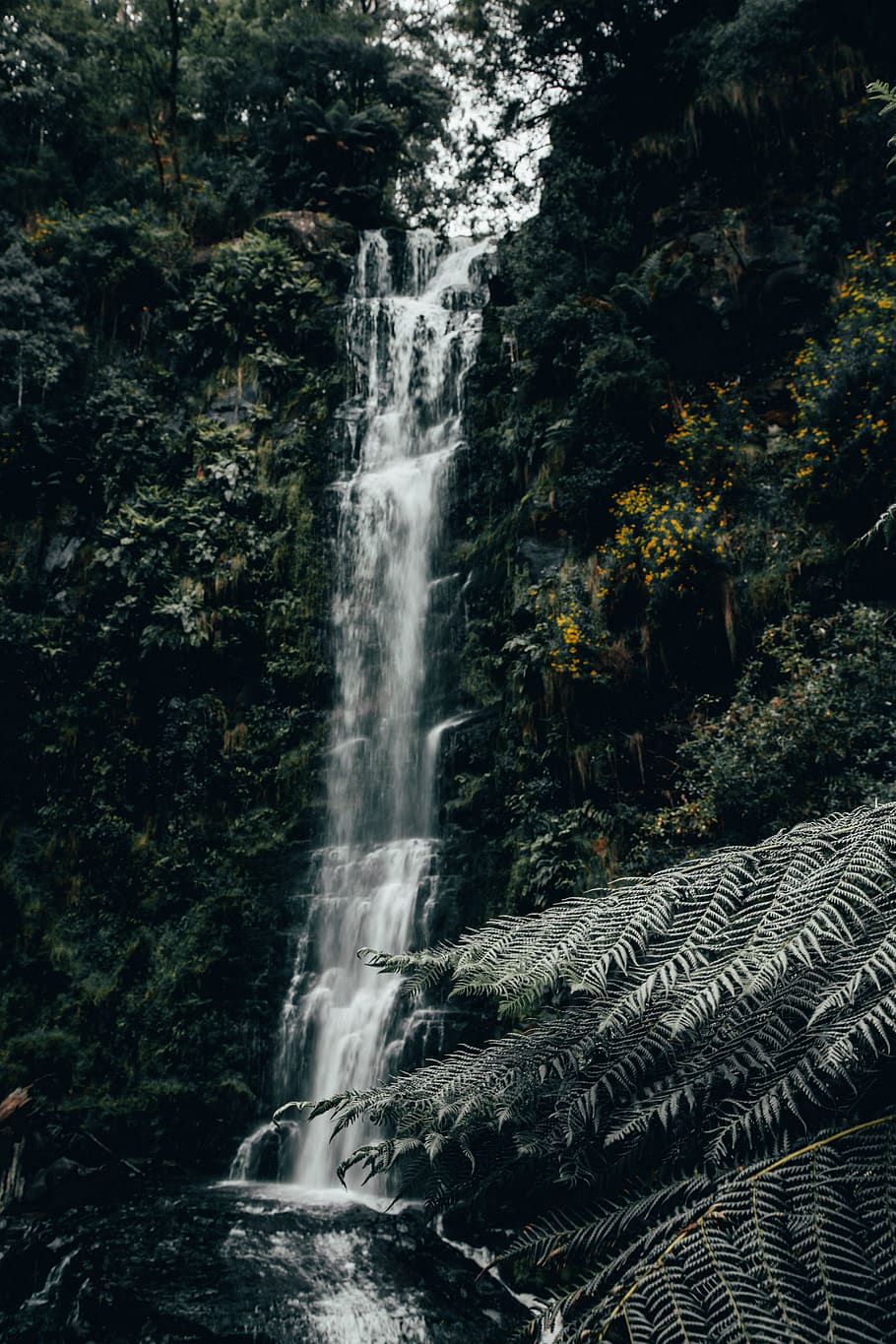 trees, waterfall, forest, river, jungle, green, moody, motion HD wallpaper