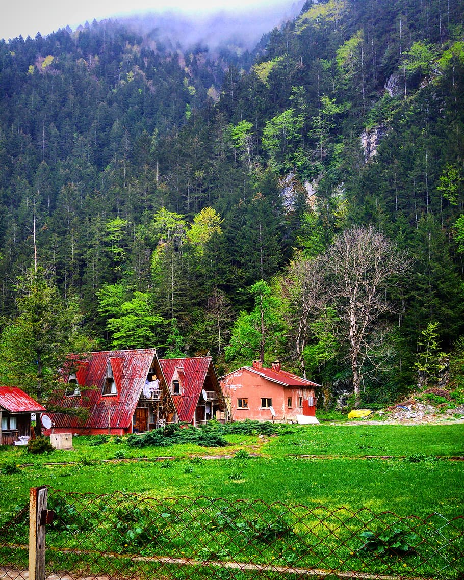 turkey, uzungöl, architecture, built structure, tree, building