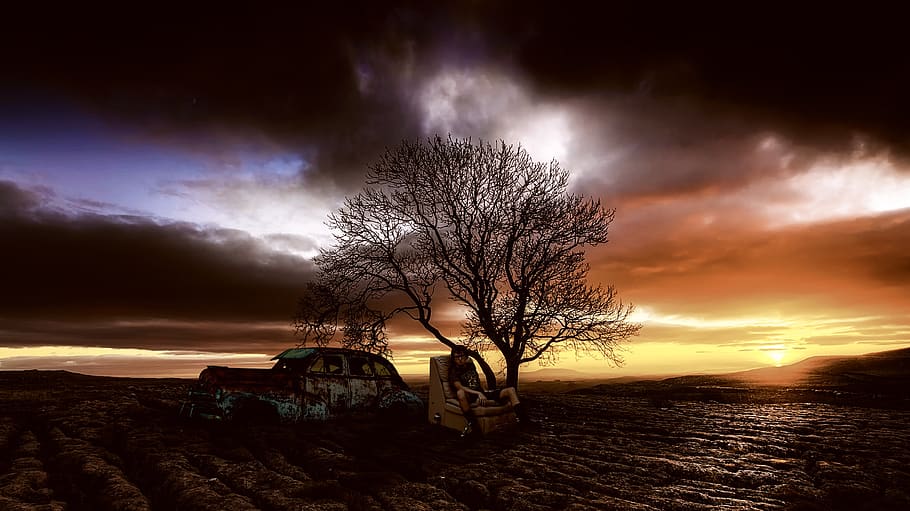 sunset, poverty, poor, homeless, one tree, people, abandon, HD wallpaper