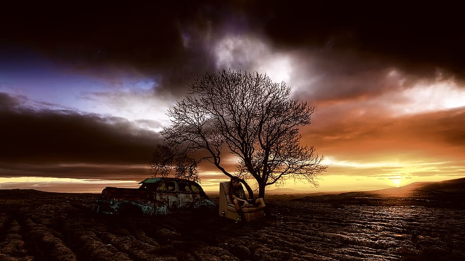 sunset, poverty, poor, homeless, one tree, people, abandon HD wallpaper