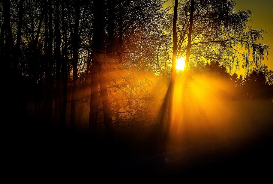 solar, winter, landscape, cold, sunset, light, sunlight, himmel, HD wallpaper