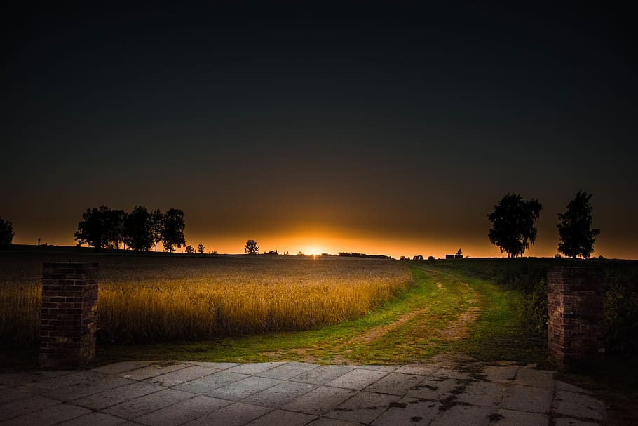 lithuania, nordic, field, road, country, nautre, autumn, sun, HD wallpaper