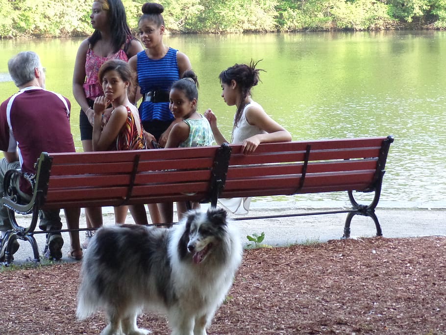quality time, smile, bench, water, nature, dog, lake, family HD wallpaper