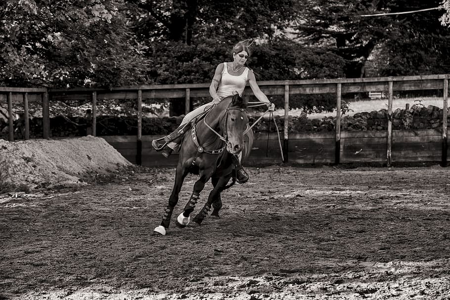 greyscale photo of woman riding horse during daytime, mammal
