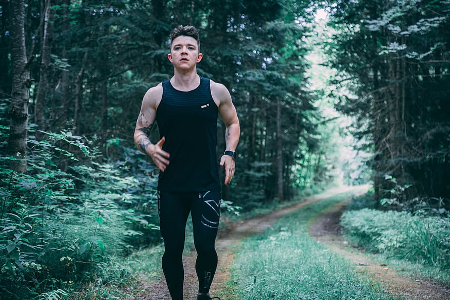 man walking on forest trail, human, person, people, canada, muskoka HD wallpaper