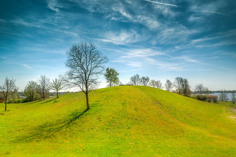 Green Grass Field, bright, dawn, hayfield, idyllic, landscape HD wallpaper