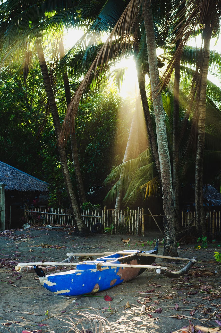 dauin, philippines, sunrays, philippins, tropical, dauin beach HD wallpaper