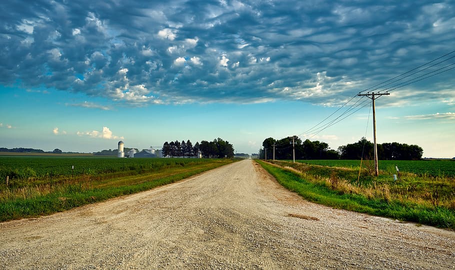 country road, iowa, soybean fields, farm, agriculture, panorama