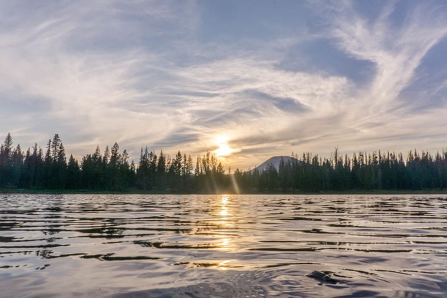 lake, forest, trees, pines, water, mountains, sunset, dusk HD wallpaper
