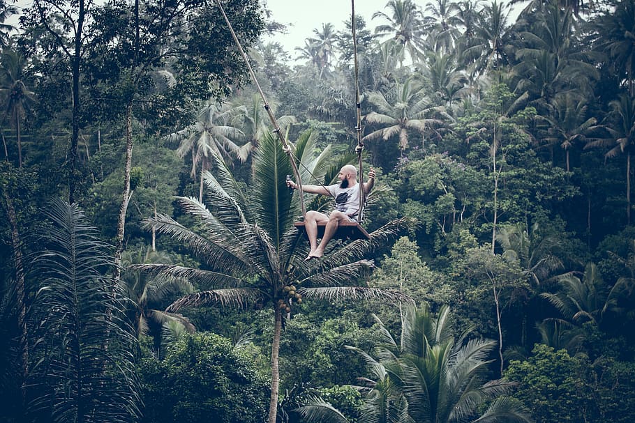 Man in Swing Near Tall Green Trees, action, adrenaline, attraction HD wallpaper