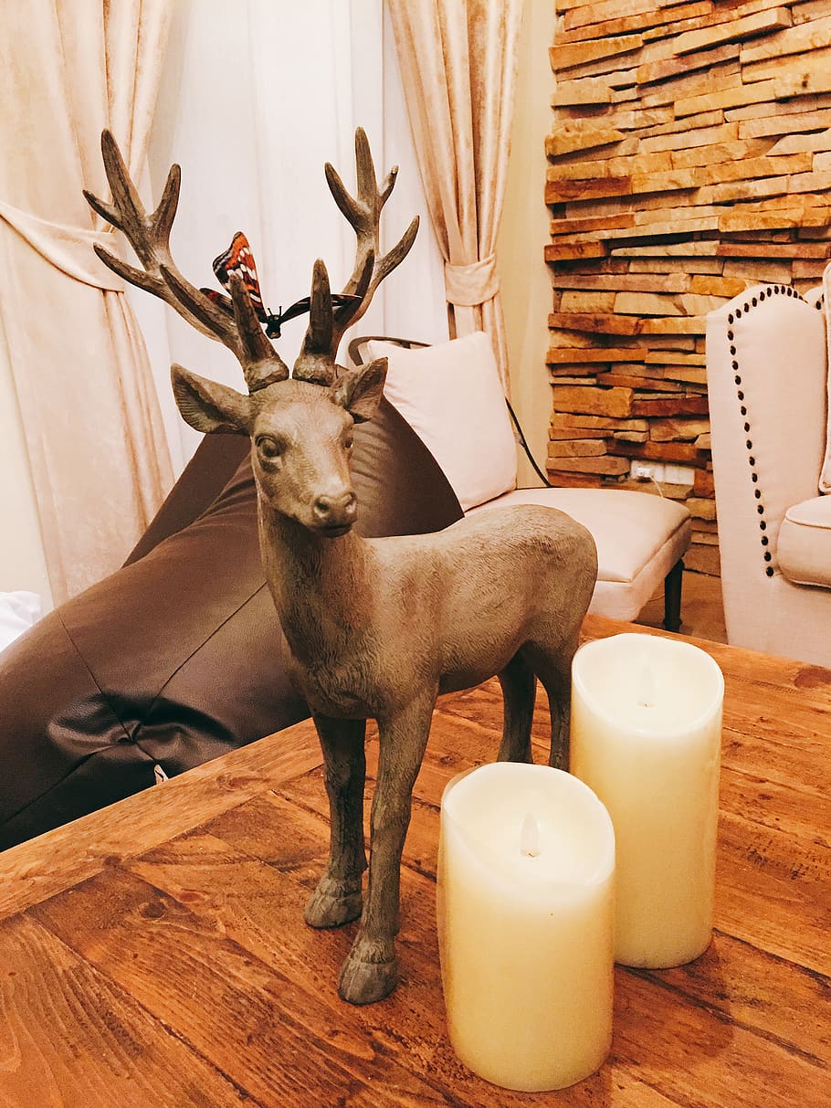 deer decor for home