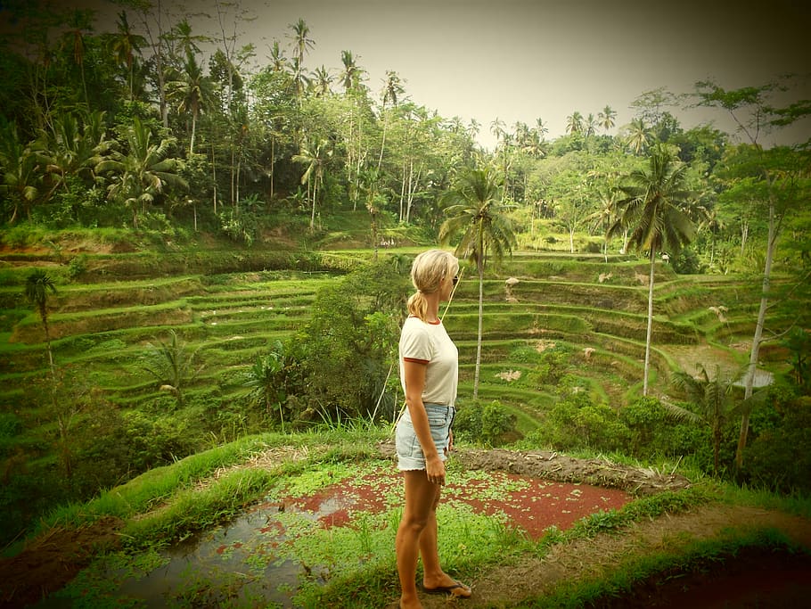 indonesia, tegallalang, plant, one person, tree, real people HD wallpaper