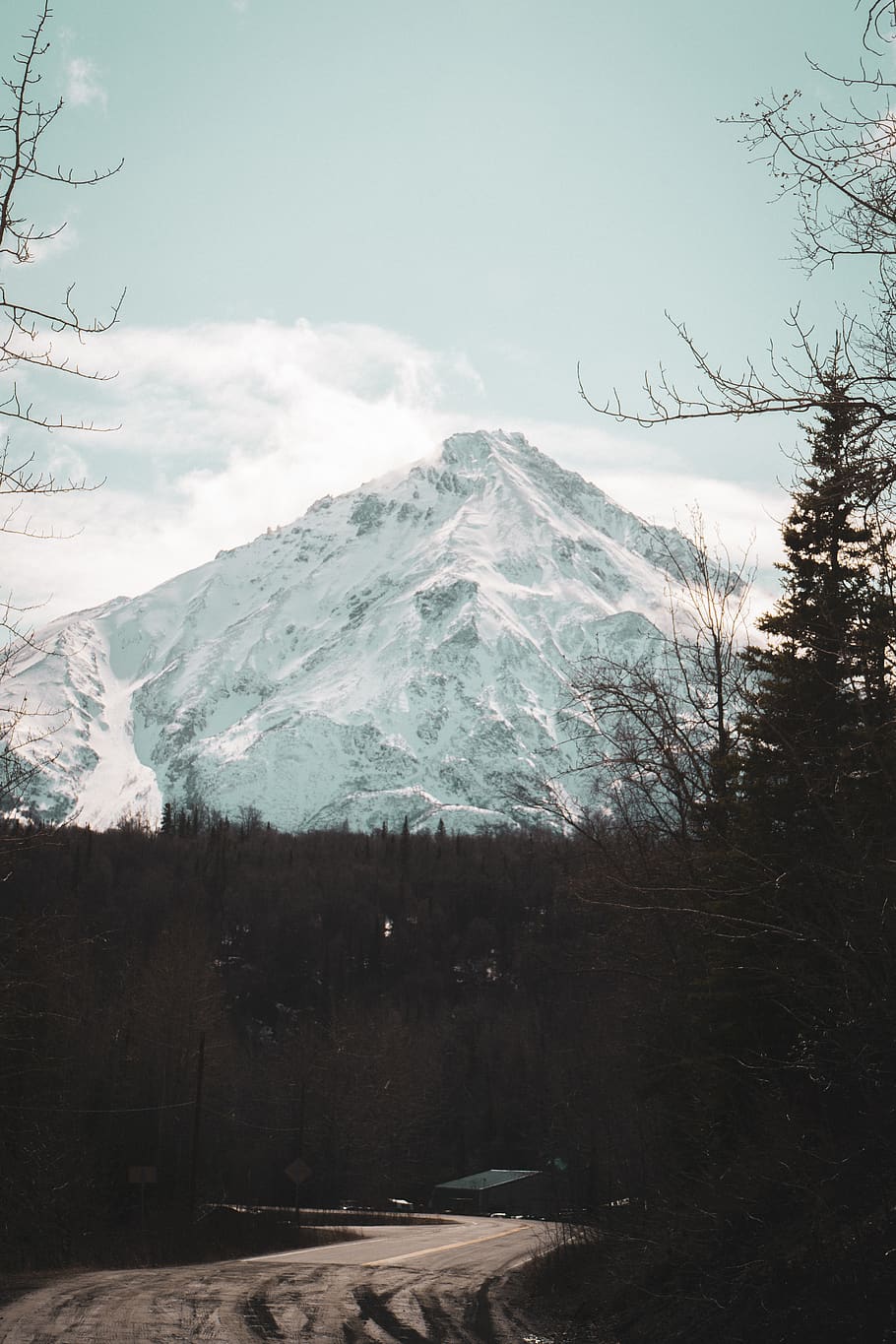 white glacier mountain, plant, tree, nature, outdoors, mountain range HD wallpaper