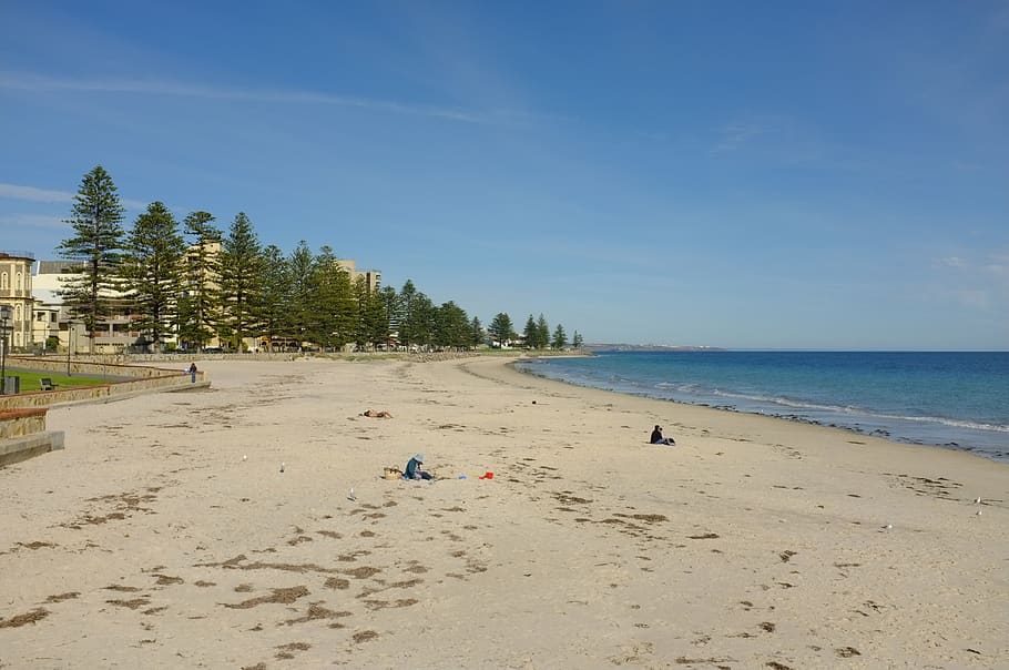 australia, glenelg, trees, beach, adelaide, ocean, sand, water, HD wallpaper