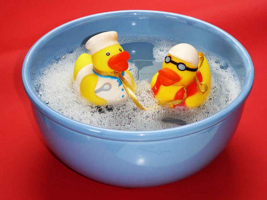 2 Rubber Ducky on Blue Ceramic Bowl, bath ducks, close-up, cute HD wallpaper