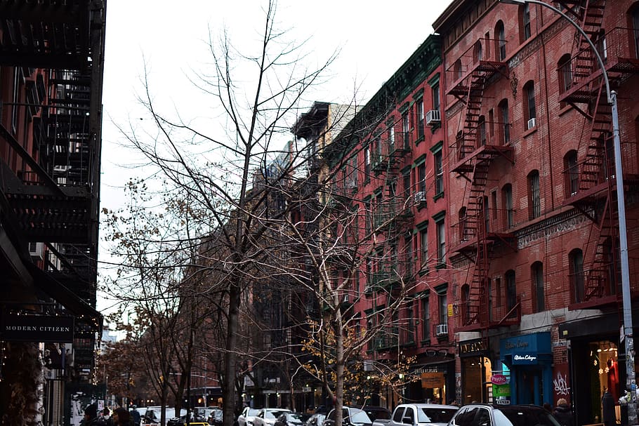 bare tree near maroon painted building, urban, town, city, high rise HD wallpaper