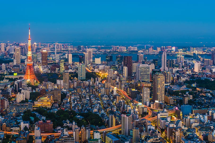 tokyo, japan, tokyo towoer, tower, night, dawn, light, city
