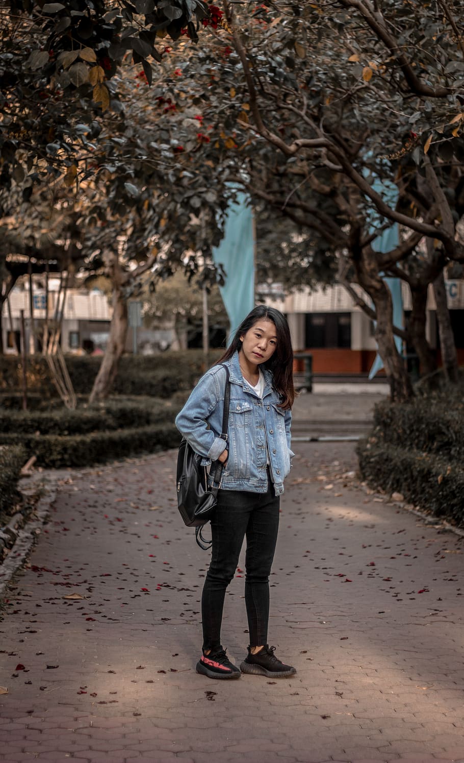 indonesia, surabaya, full length, tree, standing, young adult HD wallpaper