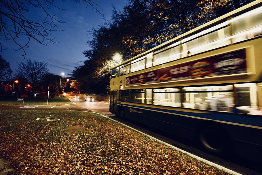 bus, dublin, time, light, tree, mode of transportation, public transportation HD wallpaper