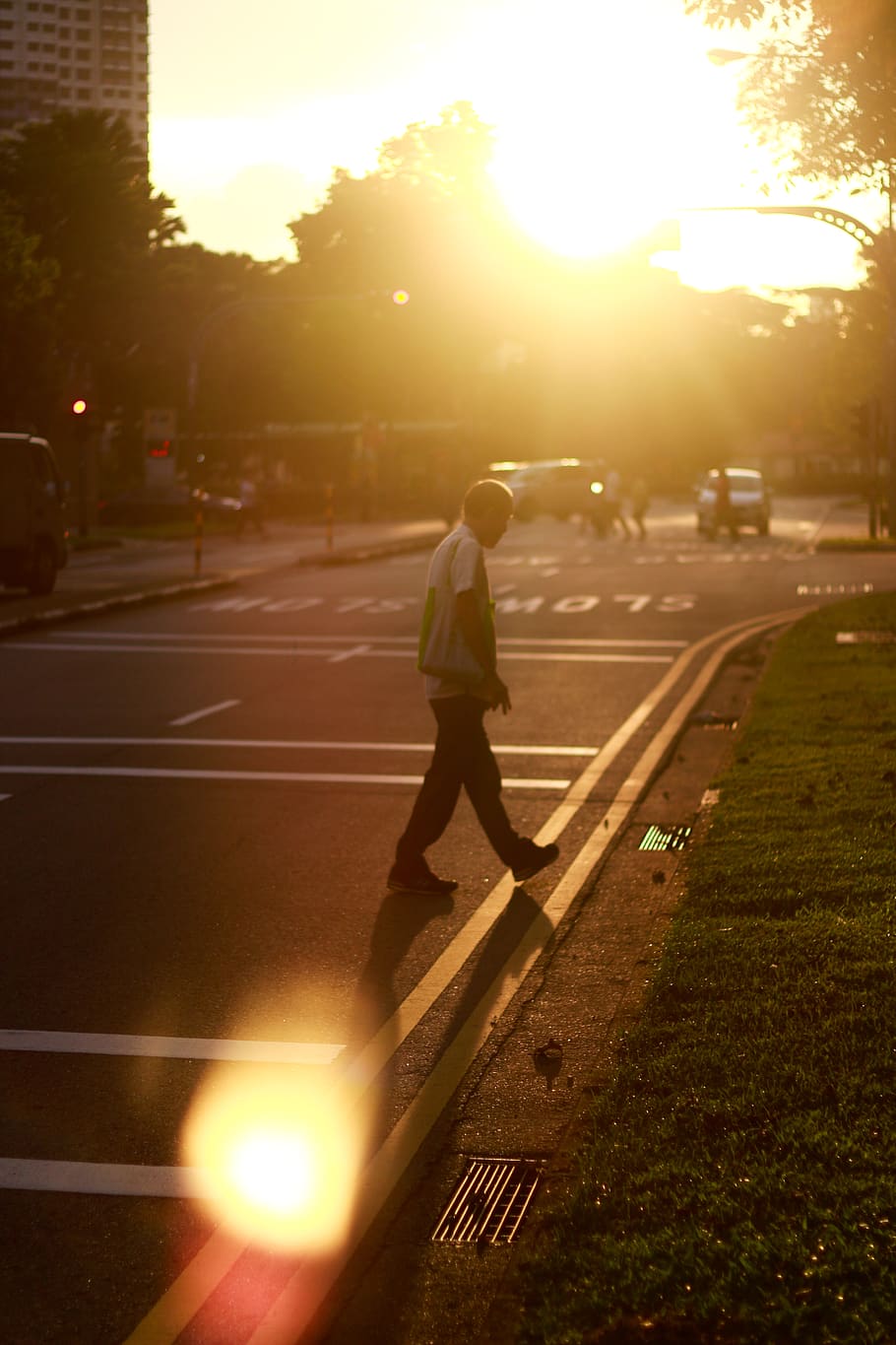 man, light, mood, sun, road, walk, sunlight, sky, lens flare HD wallpaper