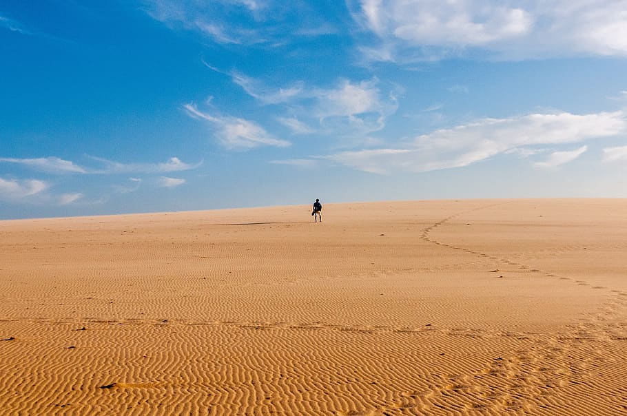 Person Walking In The Desert, adventure, arid, drought, dry, heat HD wallpaper