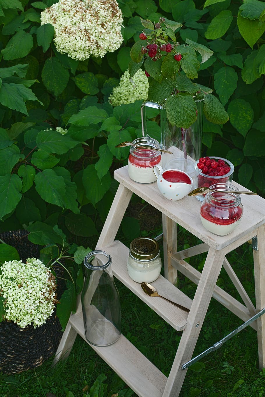 clear drinking glass, plant, flower, blossom, raspberry, jar, HD wallpaper