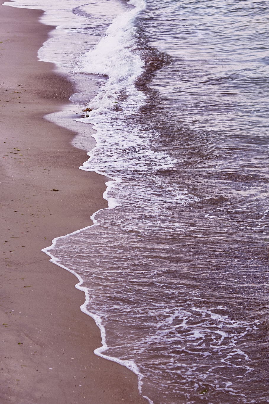 seashore, water, beach, aquatic sport, land, surfing, sand, wave HD wallpaper