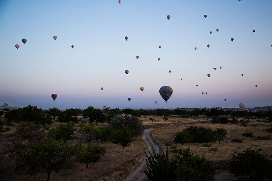 hot air balloon, air vehicle, transportation, sky, flying, mid-air HD wallpaper