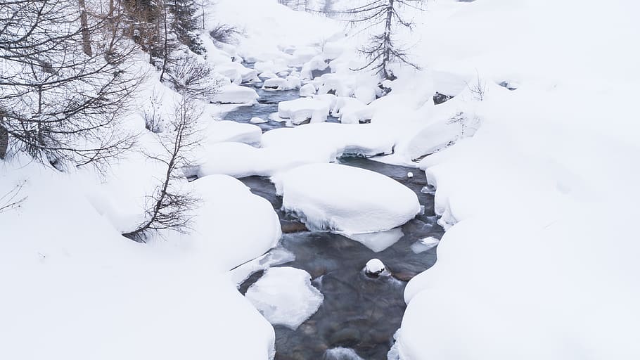 bach, snow, forest, wilderness, land, landscape, nature, water HD wallpaper