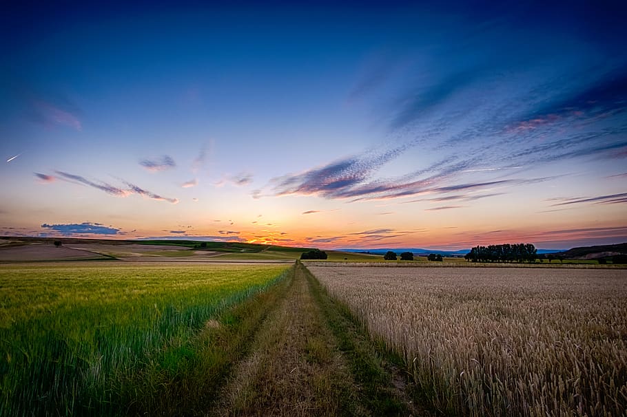 nature, landscape, field, grass, plains, horizon, sky, clouds HD wallpaper