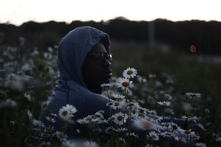 man, guy, hoodie, sweater, sunglasses, daisies, daisy, flowers HD wallpaper