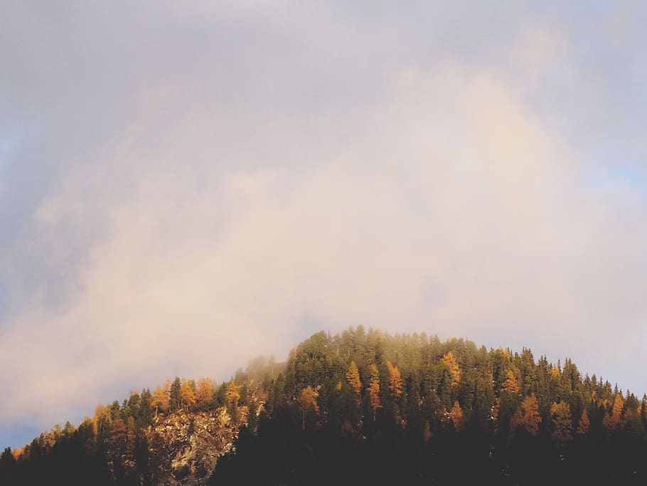 sky, clouds, sunshine, fall, autumn, trees, forest, nature HD wallpaper
